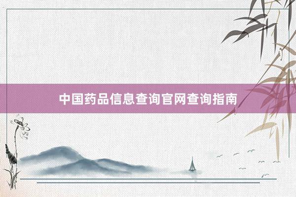 中国药品信息查询官网查询指南